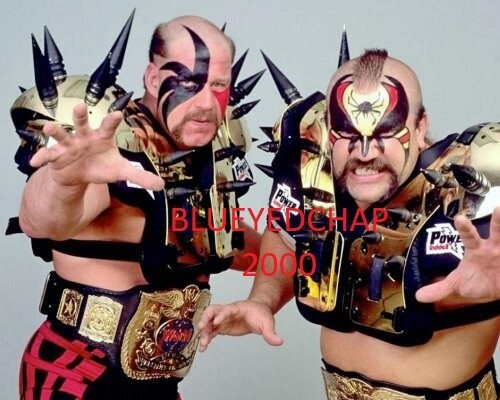 未開封　貴重！WWE WCW ロード．ウォリアーズ2体セット！新日　全日　SWS ロード・ウォリアーズ wwe プロレスフィギュア 全日本プロレス