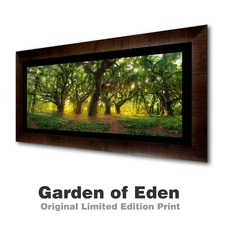 Original Limited Edition Acrylic Mounted Metallic Fine Art Photograph