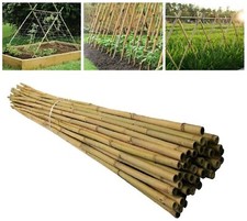 6ft Large Bamboo Canes Plants Support Thick Strong Fencing Wood Trellis Stakes
