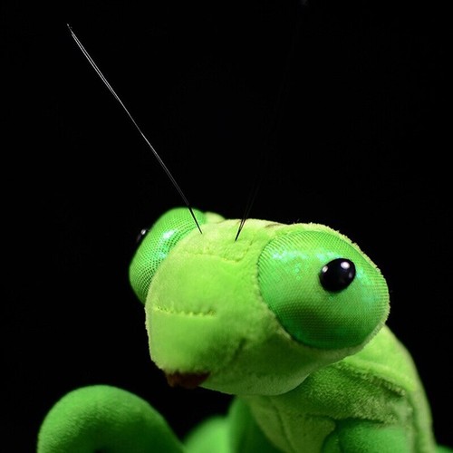 Insect Mantis Stuffed Animals Toy Bug Collection Plush Simulation Animal Doll - Photo 2 sur 6