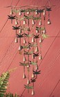 Dragonfly Wind Chime With Shimmering Bells - Dragonfly Wall Art