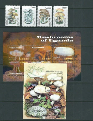 Pilze, Pilze, Champignons Malediven, Niger, Dominica Etc 6 Blatt, 2 Sets MNH - Bild 1 von 3