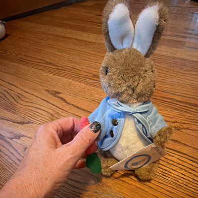 Eden Peter Rabbit Plush Bunny Blue Jacket Holding Radish 1986 Vintage Small