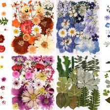 110 PCS Pressed Flowers for Resin Molds Real Dried Flower Leaves for Resin Jewel