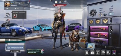 PUBG Mobile Premium Account for sale