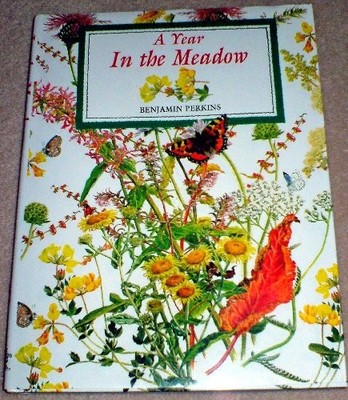 A Year in the Meadow,Benjamin Perkins