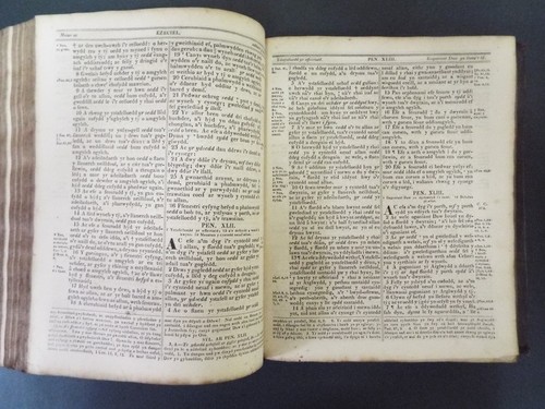 1816 Welsh Bible. Quarto Size. Printed by Gan J Evans, Caerfyrddin (Camarthen) - Picture 4 of 4