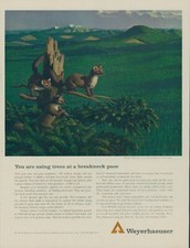 1964 Weyerhaeuser Tree Farms Pacific Martens Mountains Vintage Print Ad LO4