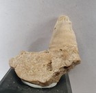 Picture 10 of 20