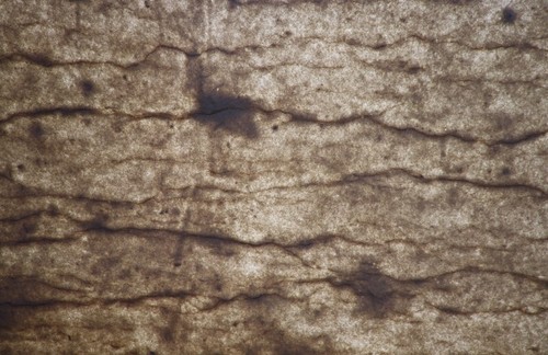 Natursteinwand Innen + Außen Marmorfurnier Wandverkleidung transluzent 122x61cm - Bild 3 von 24