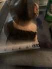 Bild 11 von 11