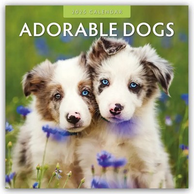 Red Robin Publishing Ltd | Adorable Dogs - Liebenswerte Hunde 2025 -...