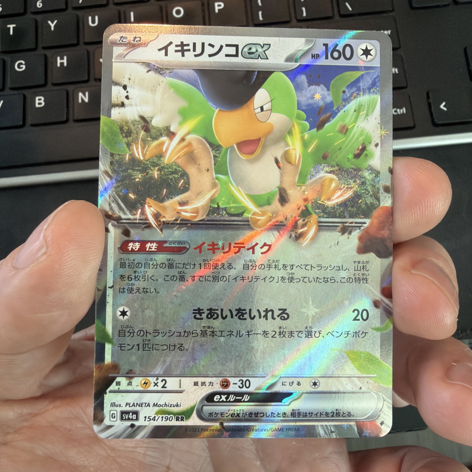 Squawkabilly ex 154/190 Near Mint Sv4a Shiny Treasure Ex Holo (Japanese) Pokemon
