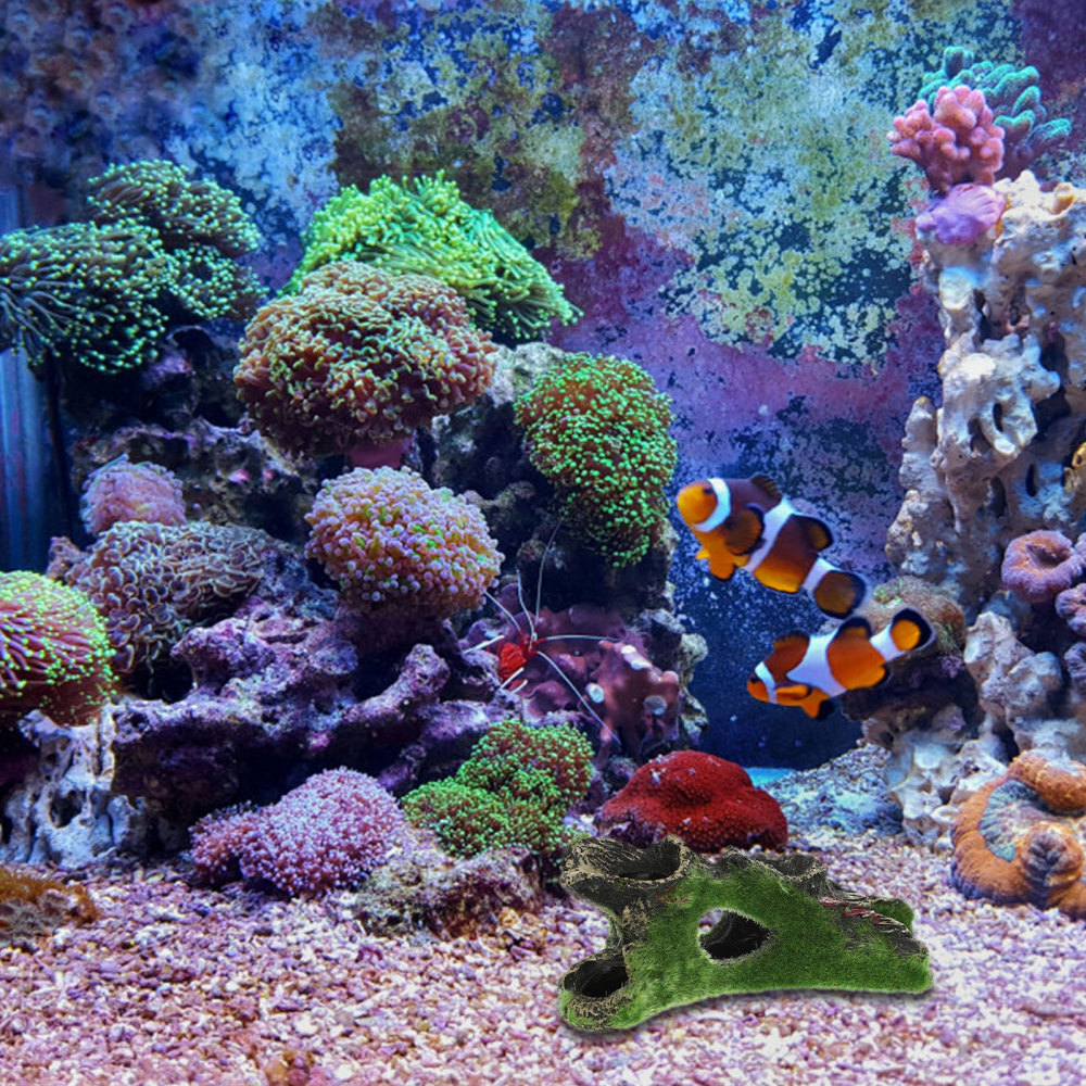 3 Pieces Aquarium Fish Tank Ornament Hide Hideout Crawl Hollow eBay