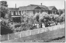 THE HACKNEY COTTAGE Seaview, WA Pacific County Long Beach 1910s cartolina d'epoca