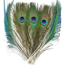 iHUFeather 20PCS Real Natural Peacock Feathers Peacock Swords 10-12 inch, DIY Cr