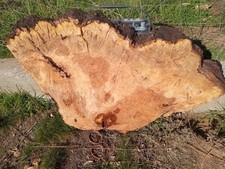 Burl Oak Slab 20 34 Inch 2"- 2"3/4 Inch Thick Dry Live Edge Wood for Resin