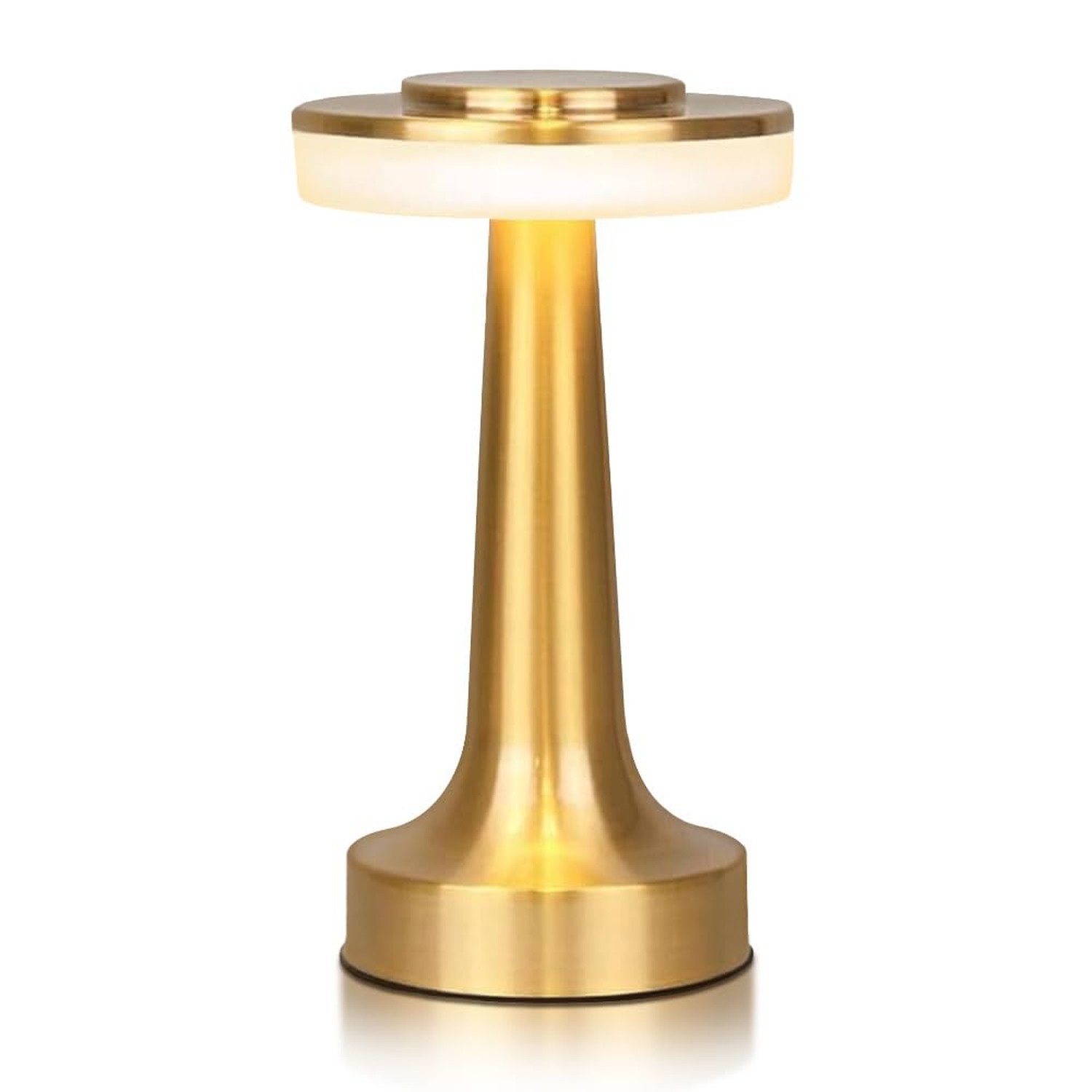 Cordless Metal Desk Lamp, Touch Sensor Control LED Table Lamp,3 Color Steples...