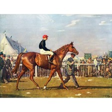 Sir Alfred James Munnings Racehorse Jockey 1924 Canvas Wall Art Print Poster