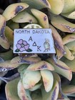 Alpha Delta Kappa Sorority Pin North Dakota Shaped With State Bird And Flower — photo 3