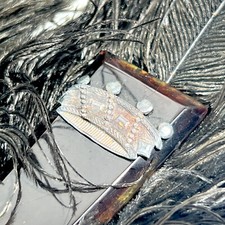 EVENTAIL BAL PLUMES Couronne BARON ST Empire Germanique Fan Ventaglio XIXe 19th