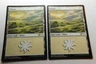MTG Plains x2- -M20 Promo Packs-Lightly Played