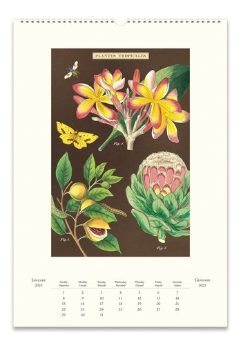 Cavallini 2023 Wall Calendar 13 X 19ins Tropicale EBay