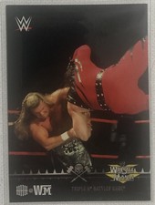 2015 Topps WWE Wrestling HHH @ Wrestlemania Tribute Set Card #2 (Triple H - DX)