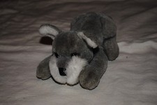 Steiff Cosi Lumpi Schnauzer Lying Grey Dachshund Puppy Dog 5466/16 22cm