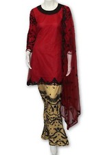 E17 Pakistani Indian 3 Pc Party Wear Net Embroidered Dress