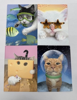 VTG Cool Cats Blank Greeting Cards (16) Graphique De France Funny Cat Cards 2004