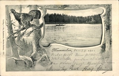 Mat Postcard Mummelsee Seebach in the Black Forest Baden, Lake View, Boat - 4641465