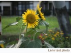 Bild 9 von 21