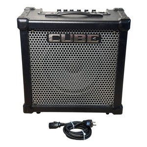 Roland Cube 100 | eBay