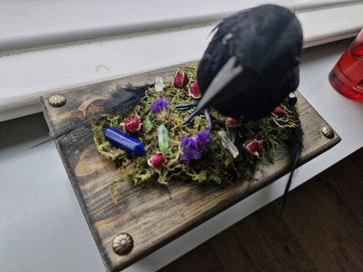 Gartenaufsteller Rabe Kristall