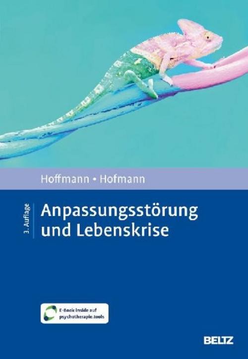 Psychologie Verlagsunion Anpassungsstörung Und Lebenskrise - Bild 2