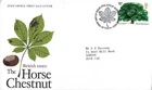 1974 Tree Planting Year. British Trees (2nd issue) Philatelic Bureau Cancel FDC