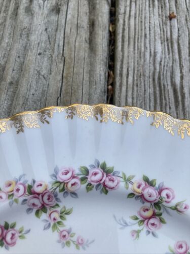 Royal Albert China Porcelain Dimity Rose Dinner Plate England Gold Trim 10.5” - Picture 3 of 6