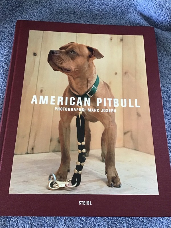 American Pitbull Book Photographs MARC JOSEPHS 2003 HC Coffee Table Size