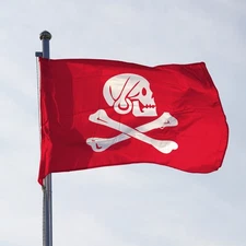 AGAS MFG Henry Every Pirate Flag – Multiple Sizes