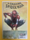 Amazing Spider-Man 28 Marvel 2023 Oliver Coipel 1:50 Variant