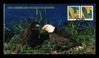 US COVER AMERICAN EAGLE COIL FIRST DAY ISSUE COMBO ALL OVER BGC