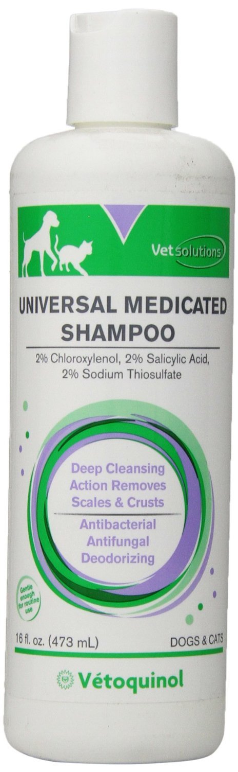 vetoquinol medicated shampoo