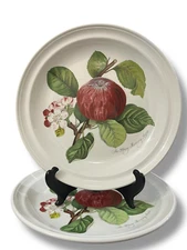 Portmeirion POMONA 2 Dinner Plates Hoary Apple Fruit England 10 1/2 in