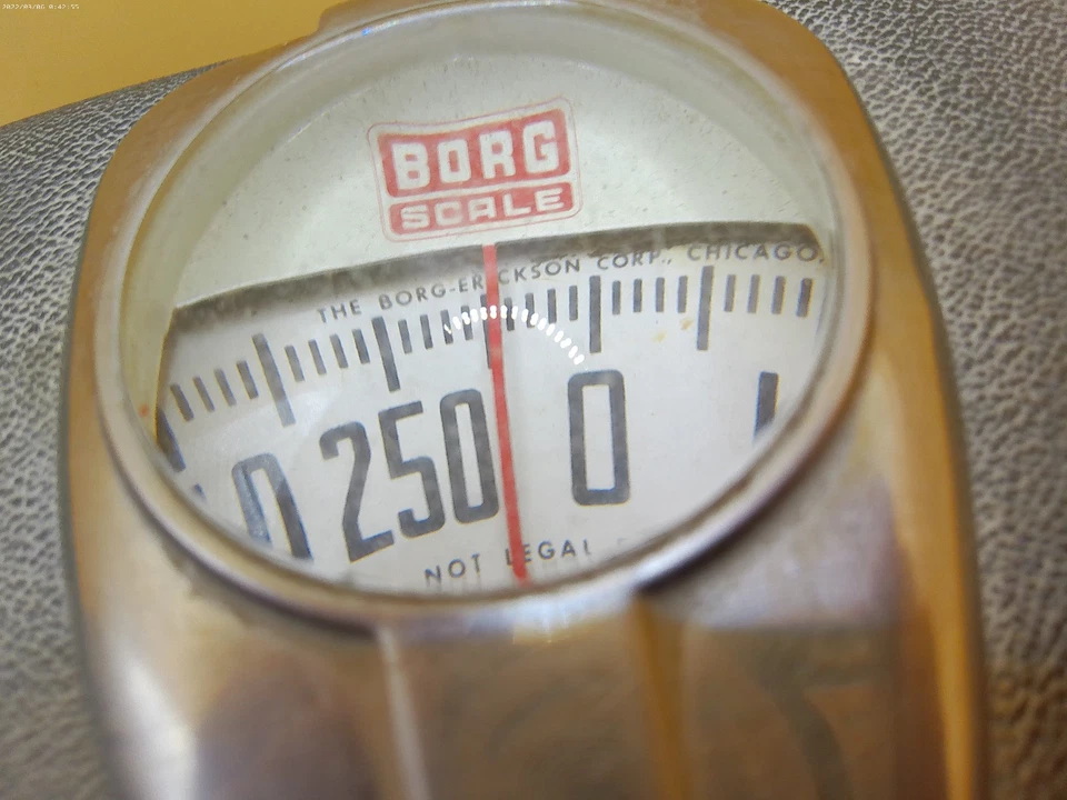 Borg 比例美国制造复古镀铬灰色浴室 20 世纪 60 年代 — 第 2/4 张图片