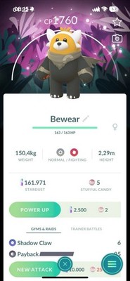  Pokémon G0 - Shiny Bewear Wilderness Cape with special BG 2025   P T C