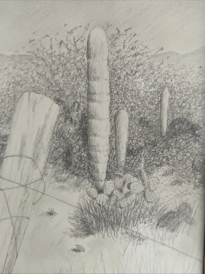 Dibujo a lápiz vintage de paisaje del desierto de cactus de Don Thomas 13x15" Foto 3 de 4