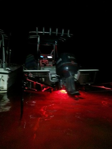 SUPER RED GARBOARD LED BOAT DRAIN PLUG LIGHT 1200 LUMENS 1/2" NPT UNDERWATER  - Foto 9 di 11