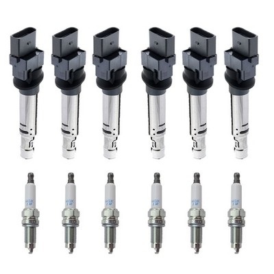 Eldor 6 Ignition Coils NGK Laser Iridium Spark Plugs Kit for Cayenne Q7 Touareg
