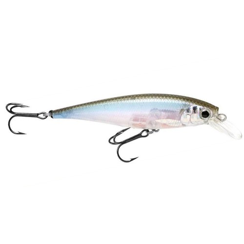 Lucky Craft Pointer SP Pêche Japon Wobbler Pro Pour Truite Barsch - Photo 18/31